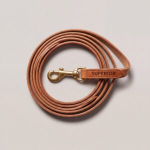 Bridle Leather Dog Lead